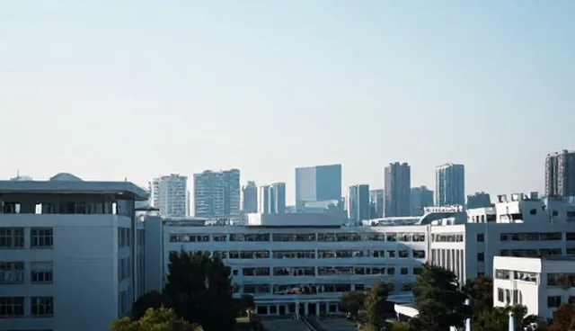 库存管理中如何避免货物短缺?